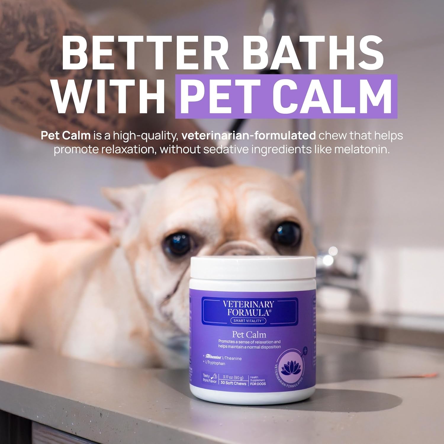 Clinical Care Hypoallergenic Shampoo for Dogs and Cats, 16 Oz – Gentle, Fragrance-Free Formula for Allergies and Sensitive Skin, Supports Healthy Skin and Coat