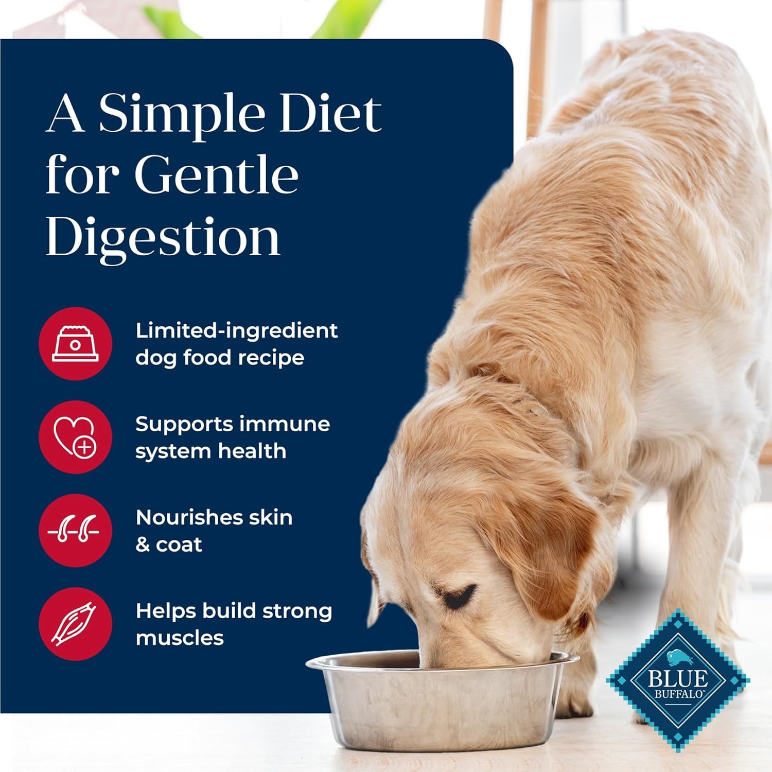 Basics Grain-Free Adult Dog Food, Limited Ingredient Salmon Recipe, 22 lb Bag