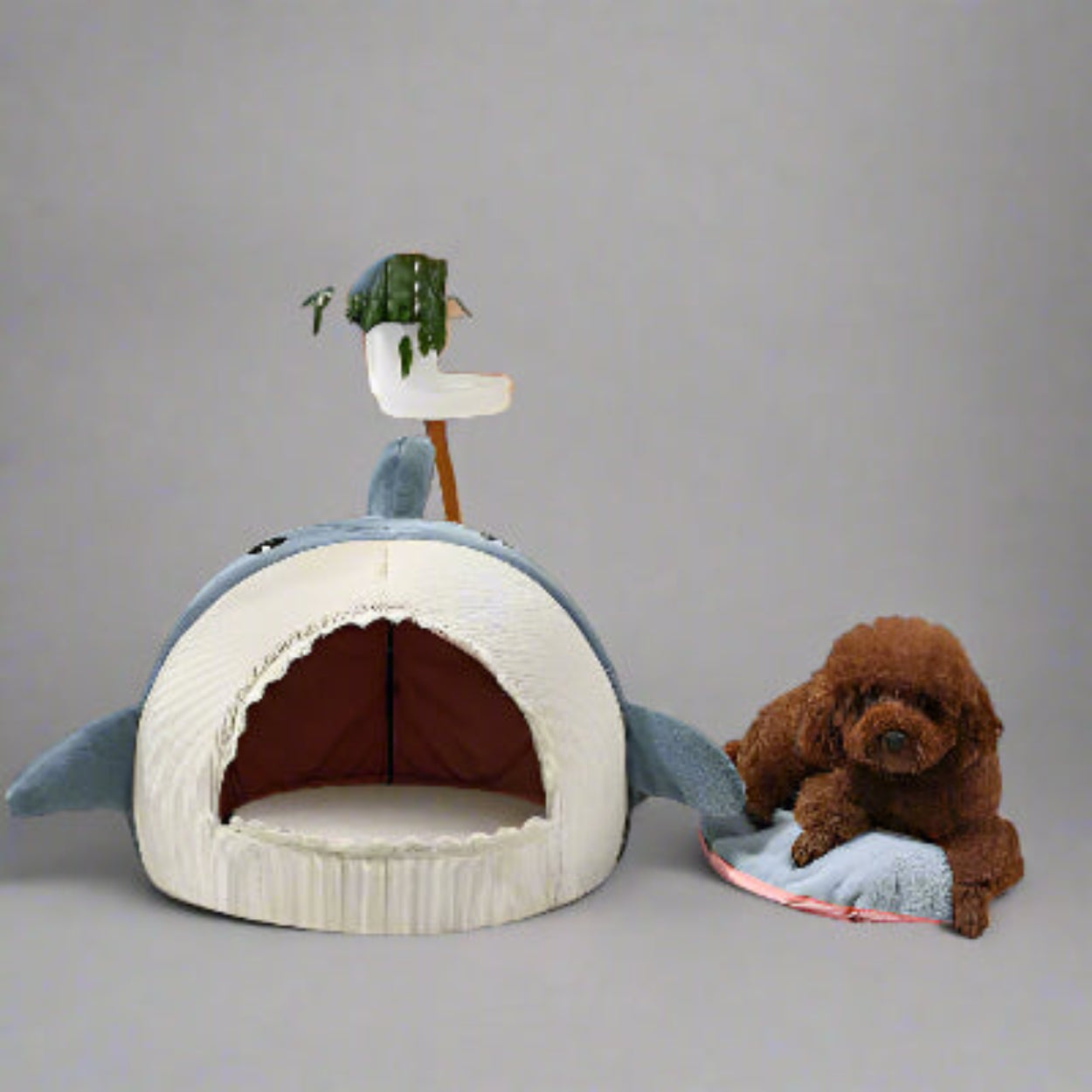 Home Page Image